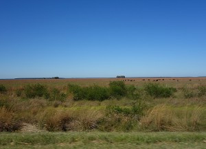 The center of Uruguay is cattle country or goucho country.