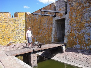 Chris crossing the moat with the dogs.